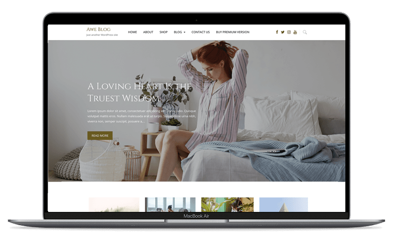 Awe Blog Best WordPress Theme